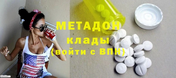 сатива Новокубанск