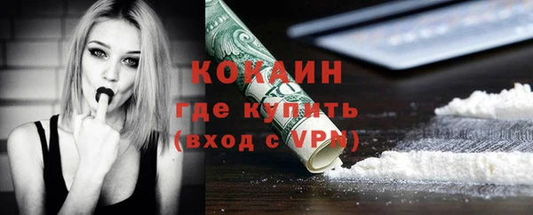 сатива Новокубанск