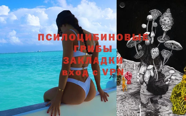 гашиш Новодвинск