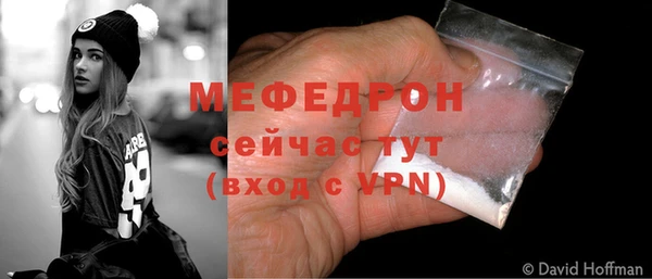 сатива Новокубанск