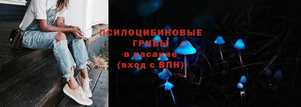 сатива Новокубанск