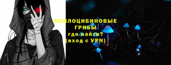 сатива Нея