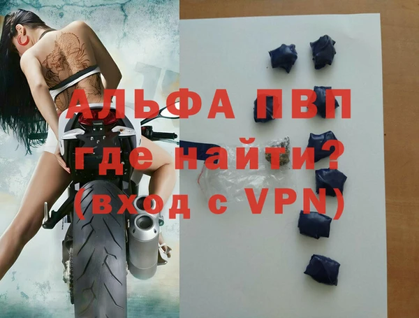 гидра Новозыбков