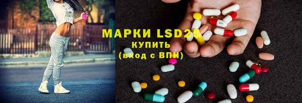 гидра Новозыбков