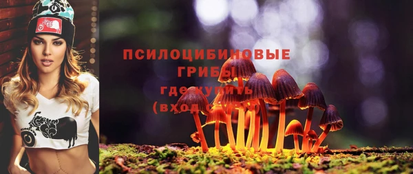 сатива Новокубанск