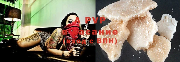 гидра Новозыбков