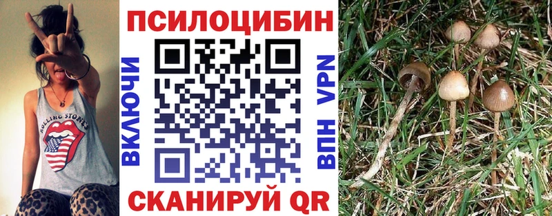 мега рабочий сайт  цена   Ивантеевка  Псилоцибиновые грибы Psilocybine cubensis 