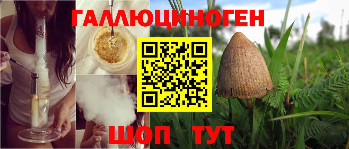 Ивантеевка  Галлюциногенные грибы Magic Shrooms  Вход с VPN  Псилоцибиновые грибы Cubensis 